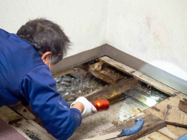 Best Water Damage Restoration  in Mansfield, TX