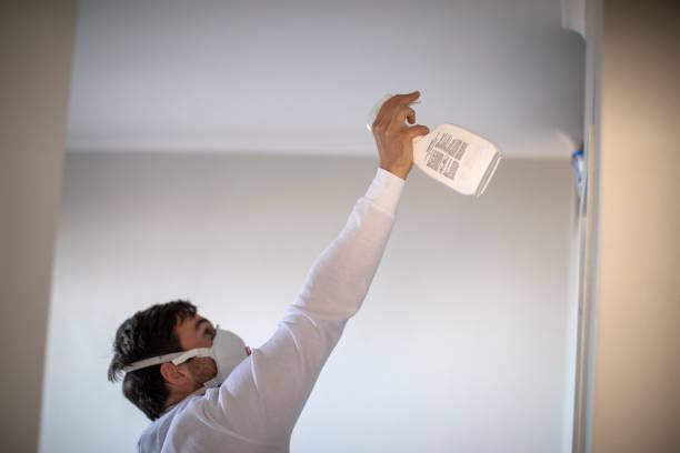 Best Crawl Space Mold Removal  in Mansfield, TX