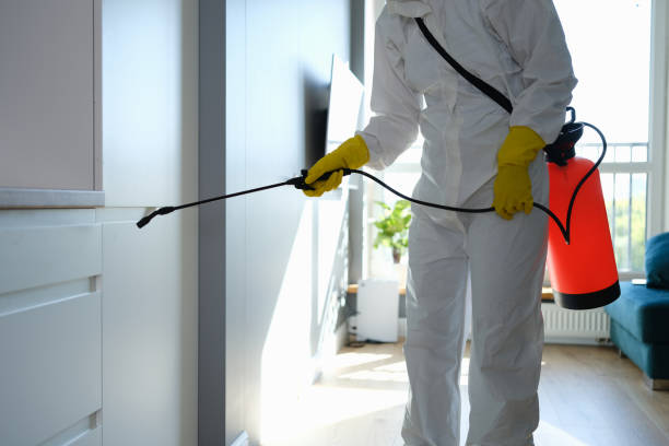 Best Commercial Mold Removal  in Mansfield, TX