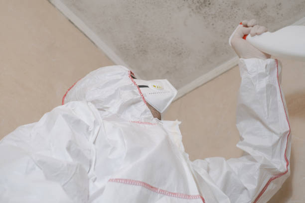 Best Mold Damage Repair  in Mansfield, TX