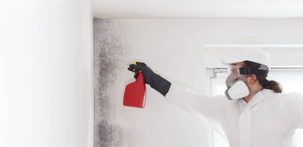 Mansfield, TX Mold Removal Company