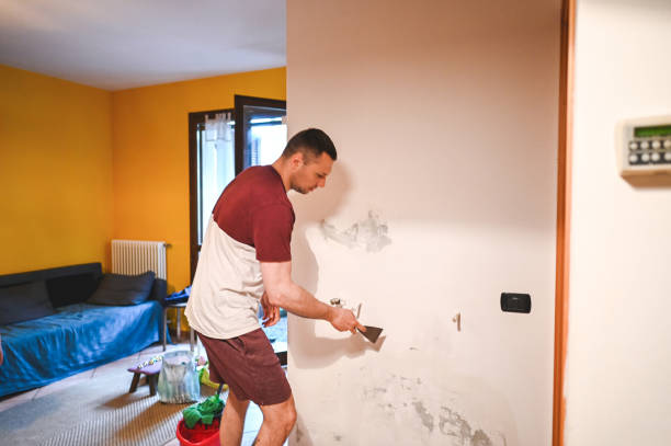 Best Home Mold Removal  in Mansfield, TX