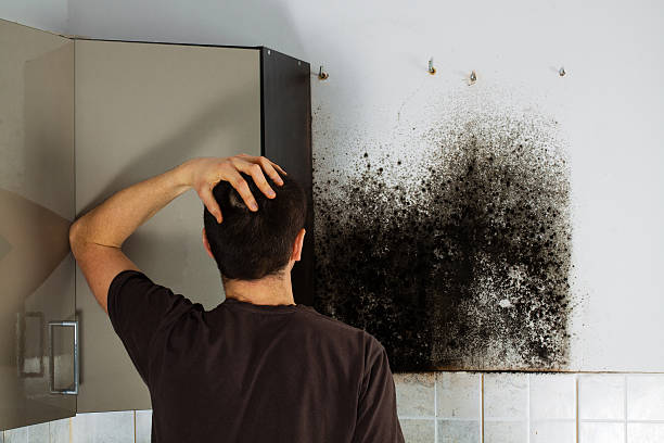 Best Mold Remediation  in Mansfield, TX